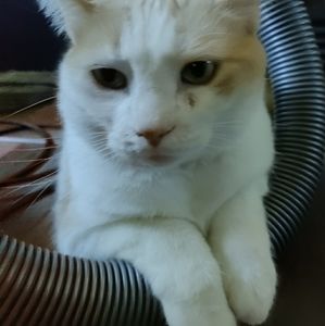 Meet your Posher, Elliot